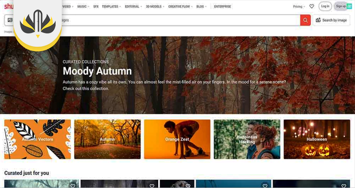 از کجا عکس با کیفیت دانلود کنیم